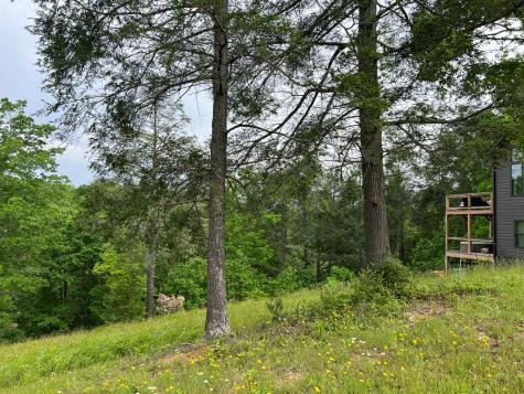 Lot 52 Madeline Way Blairsville GA 30512