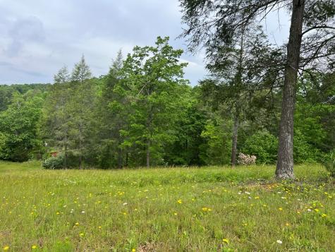 Lot 52 Madeline Way Blairsville GA 30512