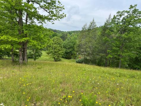 Lot 52 Madeline Way Blairsville GA 30512