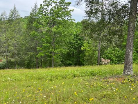 Lot 52 Madeline Way Blairsville GA 30512