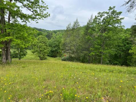 Lot 52 Madeline Way Blairsville GA 30512