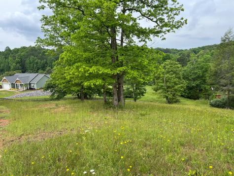 Lot 52 Madeline Way Blairsville GA 30512