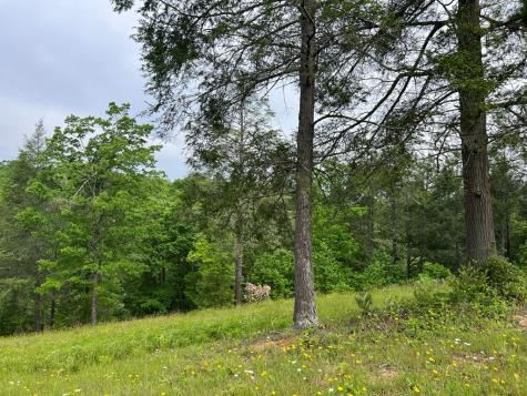 Lot 52 Madeline Way Blairsville GA 30512