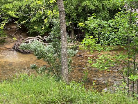 Lot 52 Madeline Way Blairsville GA 30512