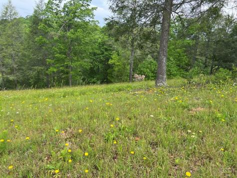 Lot 52 Madeline Way Blairsville GA 30512
