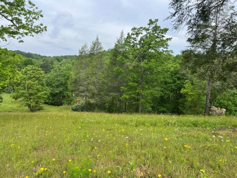 Lot 52 Madeline Way Blairsville GA 30512