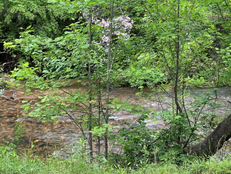 Lot 52 Madeline Way Blairsville GA 30512