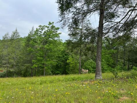 Lot 52 Madeline Way Blairsville GA 30512