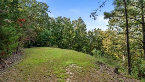 Lt 720 Morton Drive Ellijay GA 30540