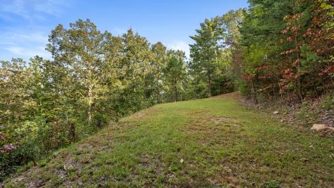 Lt 720 Morton Drive Ellijay GA 30540