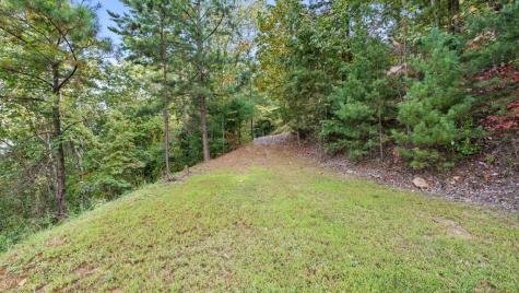 Lt 720 Morton Drive Ellijay GA 30540