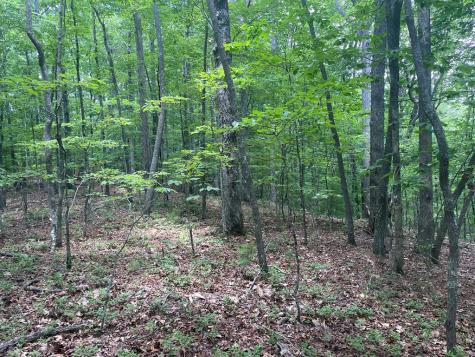 0000 Berry Hill Road Murphy NC 28906