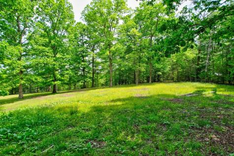 C4 Briar Woods Lane Blue Ridge GA 30513