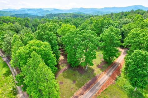 C4 Briar Woods Lane Blue Ridge GA 30513