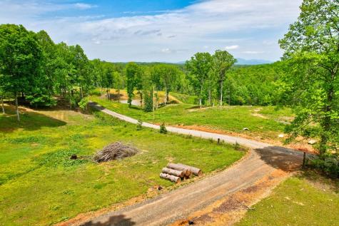 C4 Briar Woods Lane Blue Ridge GA 30513