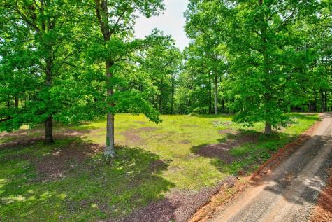 C4 Briar Woods Lane Blue Ridge GA 30513