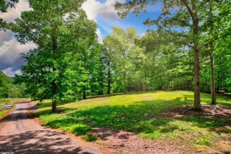 C4 Briar Woods Lane Blue Ridge GA 30513