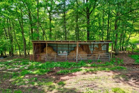 C4 Briar Woods Lane Blue Ridge GA 30513