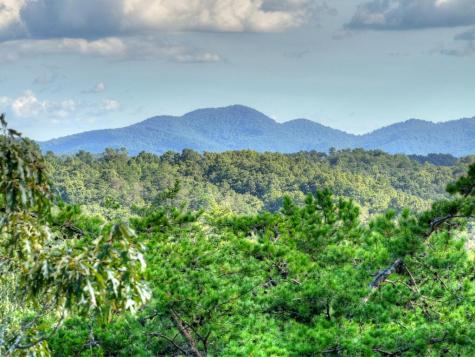 Lot #38 Ridgeline Lane Mineral Bluff GA 30559