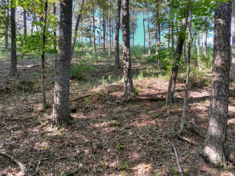 Lot #38 Ridgeline Lane Mineral Bluff GA 30559