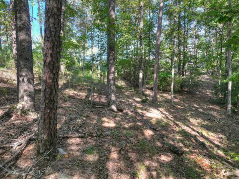 Lot #38 Ridgeline Lane Mineral Bluff GA 30559