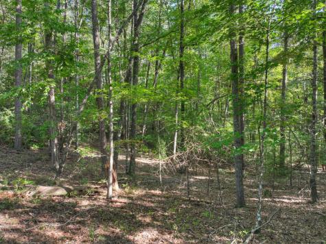 Lot #38 Ridgeline Lane Mineral Bluff GA 30559
