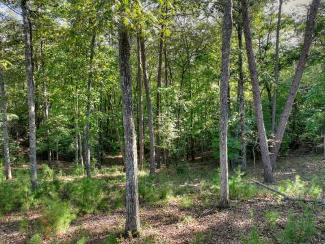 Lot #38 Ridgeline Lane Mineral Bluff GA 30559