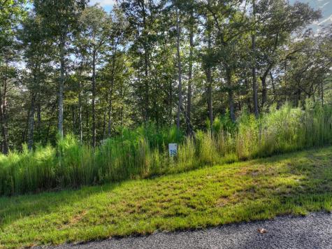 Lot #38 Ridgeline Lane Mineral Bluff GA 30559