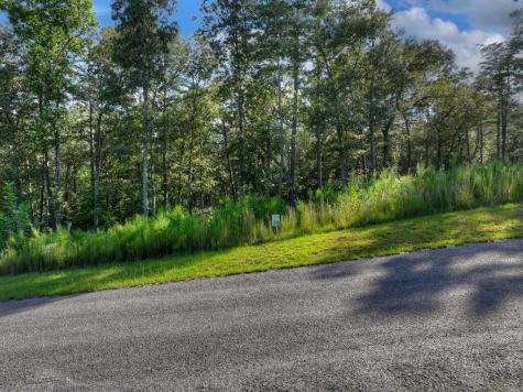 Lot #38 Ridgeline Lane Mineral Bluff GA 30559