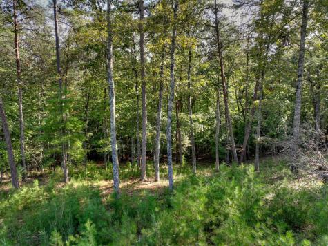 Lot #38 Ridgeline Lane Mineral Bluff GA 30559