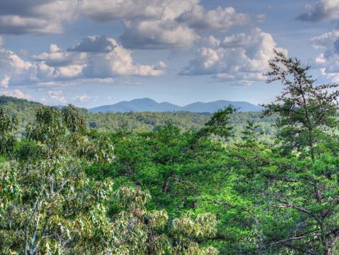 Lot #38 Ridgeline Lane Mineral Bluff GA 30559