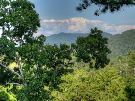 Lot #38 Ridgeline Lane Mineral Bluff GA 30559