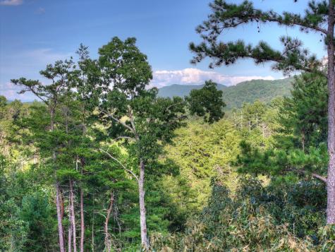 Lot #38 Ridgeline Lane Mineral Bluff GA 30559