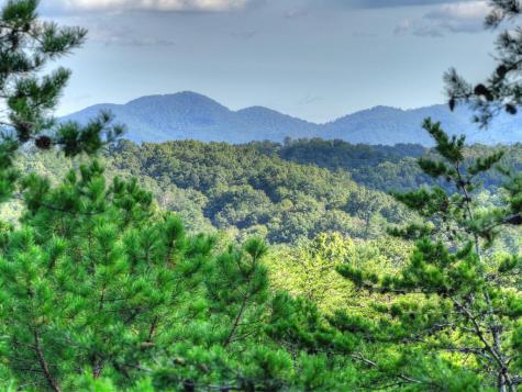 Lot #38 Ridgeline Lane Mineral Bluff GA 30559