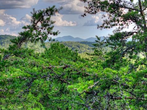 Lot #38 Ridgeline Lane Mineral Bluff GA 30559