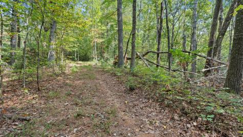 23 C Lake View Road Cherry Log GA 30522