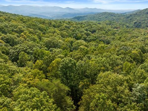 23 C Lake View Road Cherry Log GA 30522