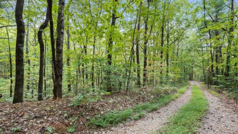 23 C Lake View Road Cherry Log GA 30522