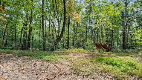 23 C Lake View Road Cherry Log GA 30522