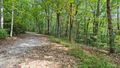 23 C Lake View Road Cherry Log GA 30522