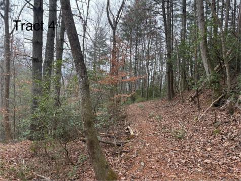 Tract 4 Fain Branch Road Blairsville GA 30512