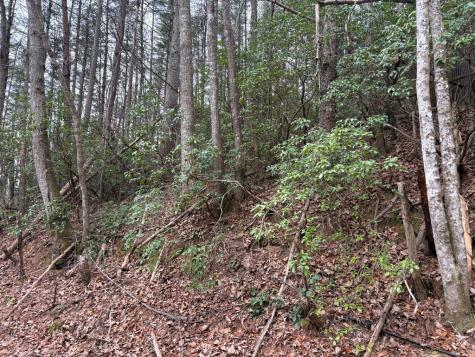Tract 4 Fain Branch Road Blairsville GA 30512