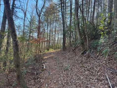 Tract 4 Fain Branch Road Blairsville GA 30512