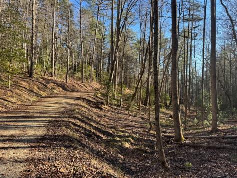 Tract 4 Fain Branch Road Blairsville GA 30512
