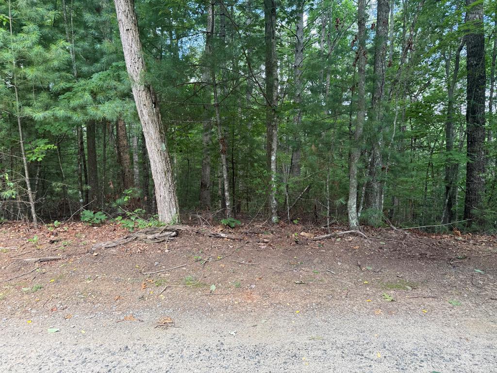 0 Guy Eller Road Murphy NC 28906
