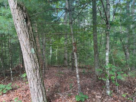 0 Guy Eller Road Murphy NC 28906