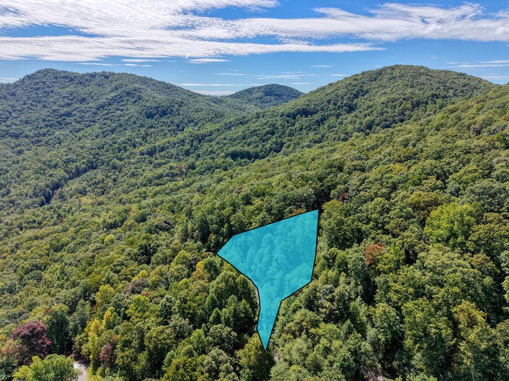 Lot 35 Overlook At Y. H Young Harris GA 30582