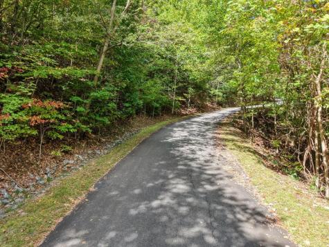 Lot 35 Overlook At Y. H Young Harris GA 30582
