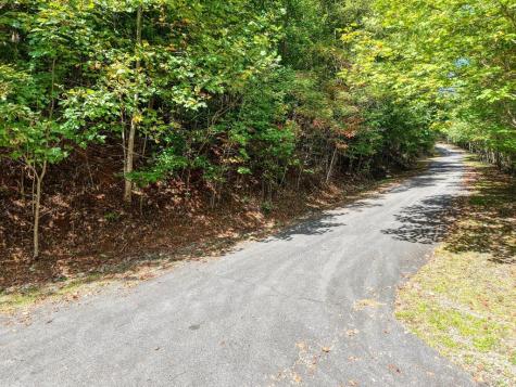 Lot 35 Overlook At Y. H Young Harris GA 30582