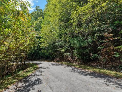 Lot 35 Overlook At Y. H Young Harris GA 30582